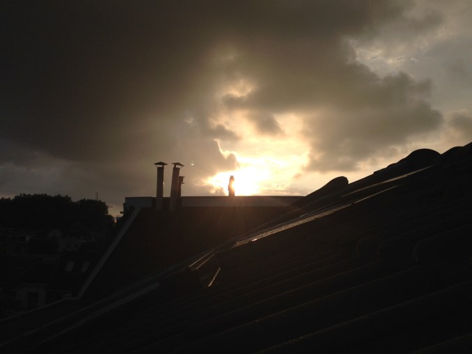 foto's iphone juli 2014 3961