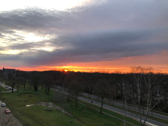 F6B109B8-C33F-4F1B-8FEA-C86464EC5C78